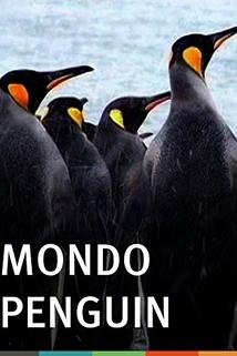 Profilový obrázek - Mondo Penguin