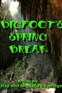 Profilový obrázek - Bigfoot's Spring Break