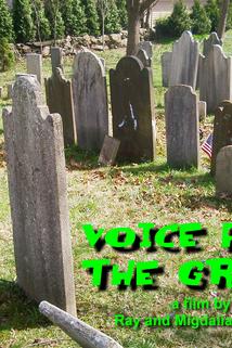 Profilový obrázek - Voice From The Grave