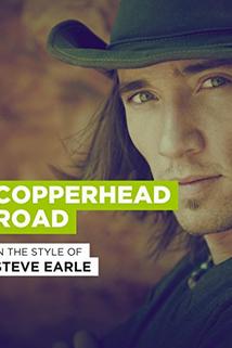 Profilový obrázek - Copperhead Road
