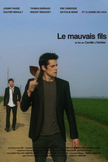 Profilový obrázek - Le mauvais fils