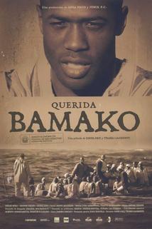 Profilový obrázek - Querida Bamako