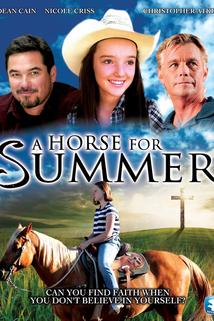 Horse for Summer, A