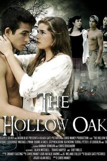 Profilový obrázek - The Hollow Oak