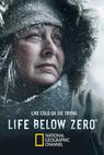 Life Below Zero (2013)