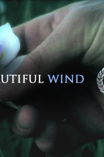 Profilový obrázek - The Beautiful Wind