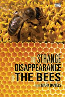 Le mystère de la disparition des abeilles