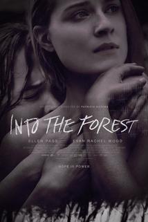 Profilový obrázek - Into the Forest