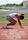 A Race Against Time: The Sharla Butler Story 