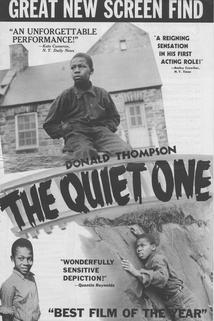 Profilový obrázek - The Quiet One