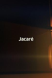 Profilový obrázek - Jacaré