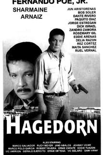Profilový obrázek - Hagedorn