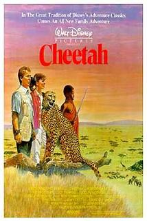 Gepard  - Cheetah