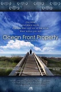 Profilový obrázek - Ocean Front Property