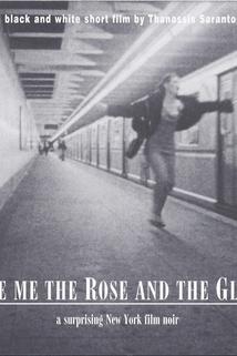 Profilový obrázek - Give Me the Rose and the Glove