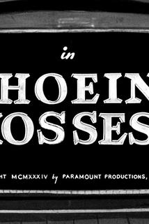 Profilový obrázek - Shoein' Hosses