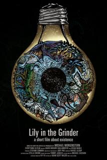 Profilový obrázek - Lily in the Grinder