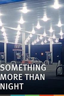 Profilový obrázek - Something More Than Night