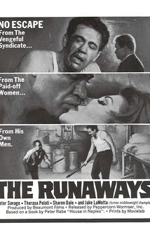 Profilový obrázek - The Runaways
