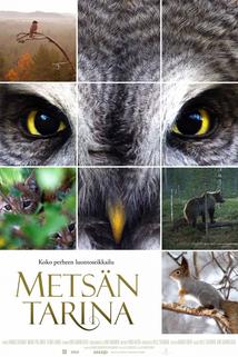 Profilový obrázek - Metsän tarina