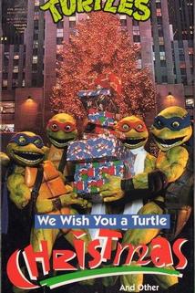 Profilový obrázek - We Wish You a Turtle Christmas
