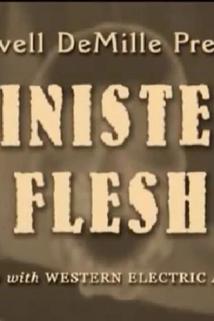 Sinister Flesh  - Sinister Flesh