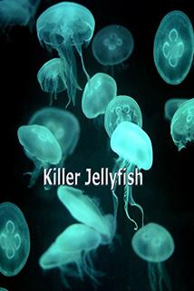 Profilový obrázek - Killer Jellyfish