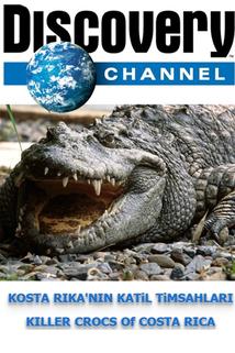 Profilový obrázek - Killer Crocs of Costa Rica