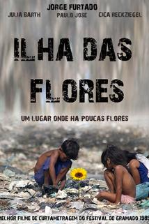 Profilový obrázek - Ilha das Flores