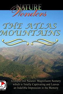 Profilový obrázek - The Atlas Mountains