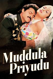 Profilový obrázek - Muddula Priyudu