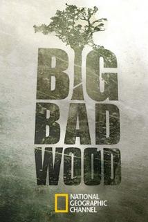 Big Bad Wood  - Big Bad Wood