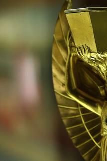 Profilový obrázek - The Rimet Trophy, the Incredible Story of the World Cup