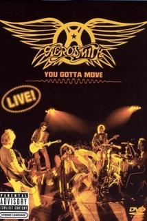 Aerosmith: You Gotta Move