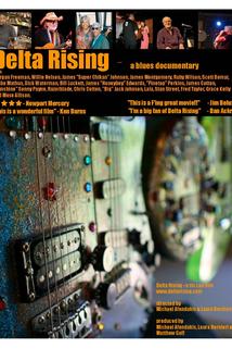 Profilový obrázek - Delta Rising: A Blues Documentary