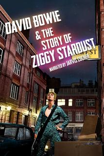 Profilový obrázek - David Bowie & the Story of Ziggy Stardust