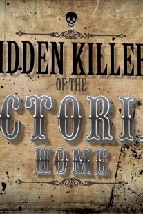 Profilový obrázek - Hidden Killers of the Victorian Home
