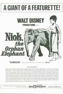 Profilový obrázek - Niok l'éléphant