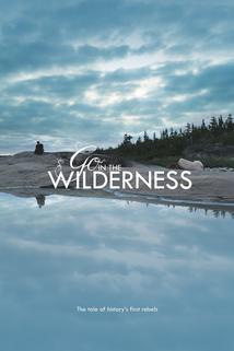 Profilový obrázek - Go in the Wilderness