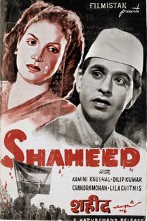 Profilový obrázek - Shaheed