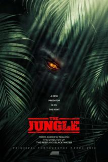 Profilový obrázek - The Jungle