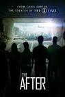 The After (2014)