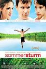 Letní bouře (2004)