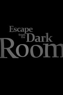 Profilový obrázek - The Dark Room