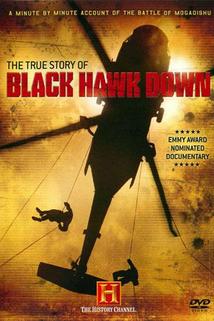 The True Story of Blackhawk Down
