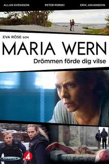 Maria Wern: Drömmen förde dig vilse