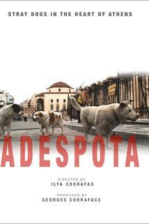 Profilový obrázek - Adespota, chiens sans maîtres au coeur d'Athènes