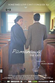 Profilový obrázek - Pumanawa: The Gift