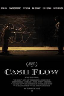 Profilový obrázek - Cash Flow