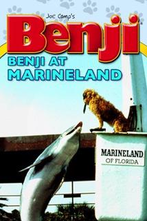 Profilový obrázek - Benji Takes a Dive at Marineland